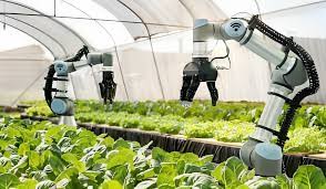 Agricultural Robot 1
